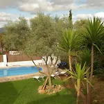 Maioli * Olivella